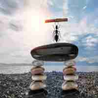 免​费​外﻿链​发‍布‍